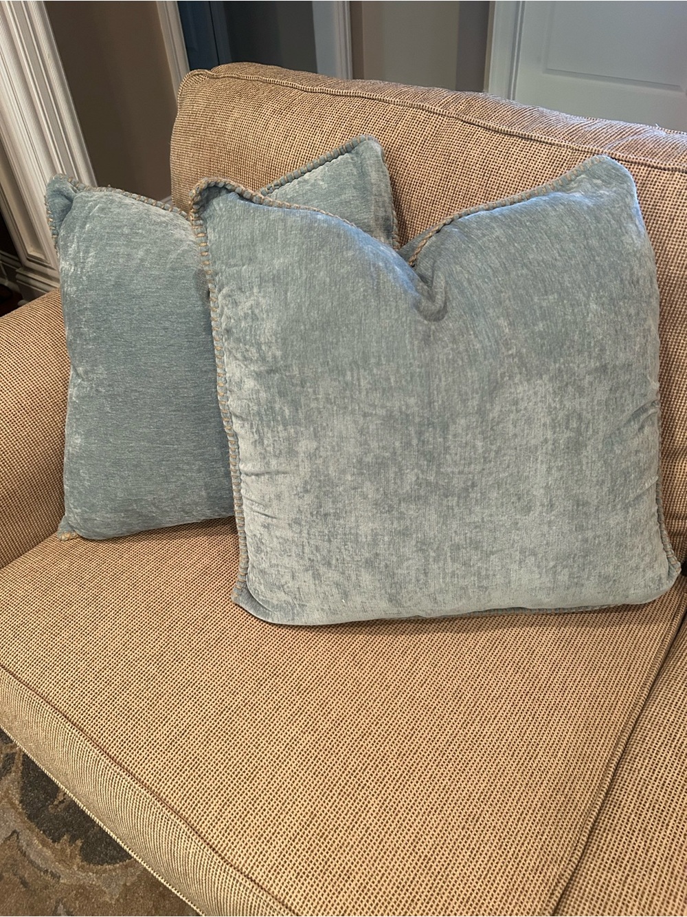 Plush Velvet Throw Pillows with Down Inserts